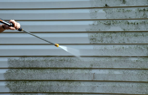 Professional Pressure Washing Services in Petersburg, VA
